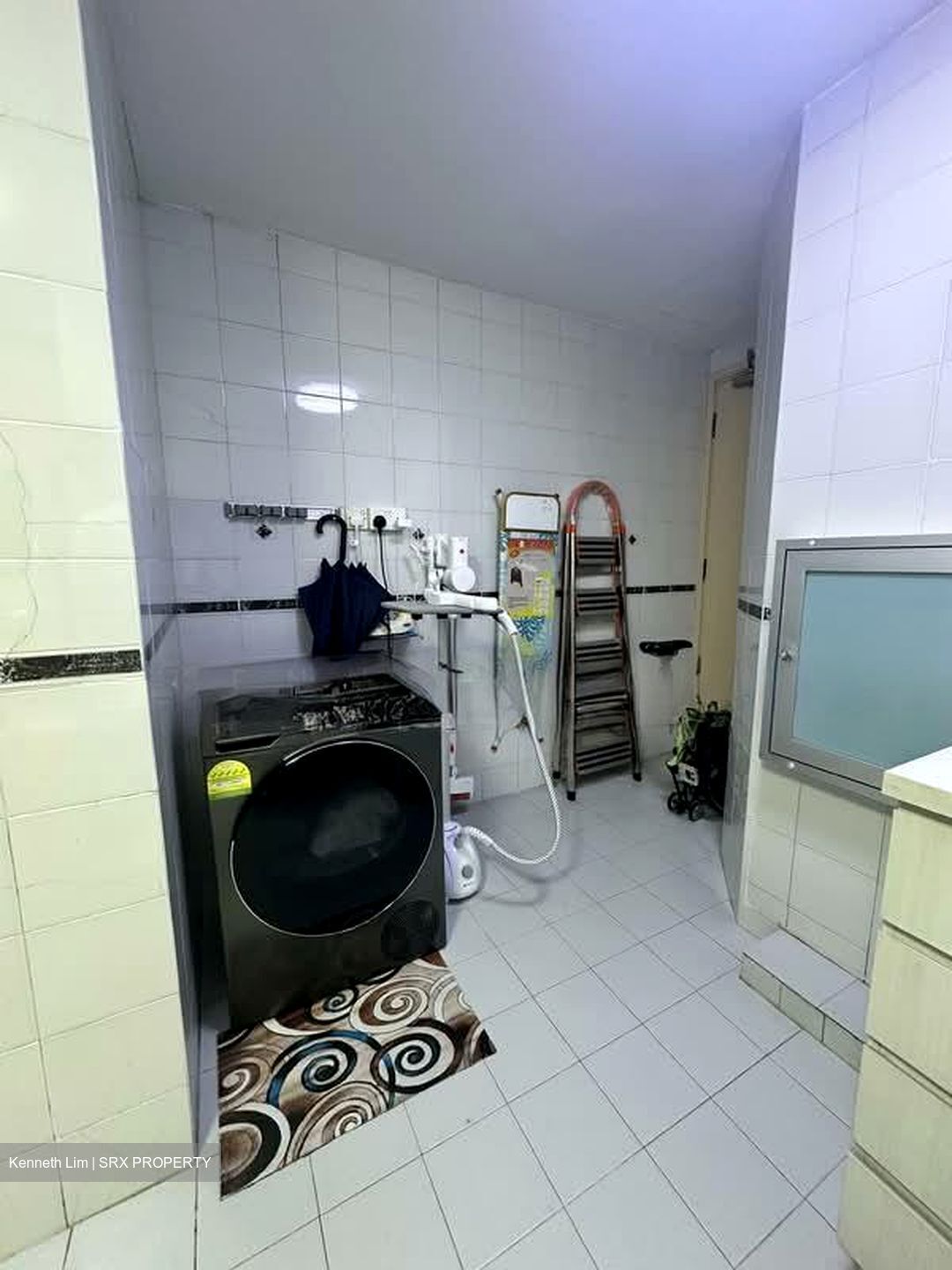 The Tanamera (D16), Condominium #562456971